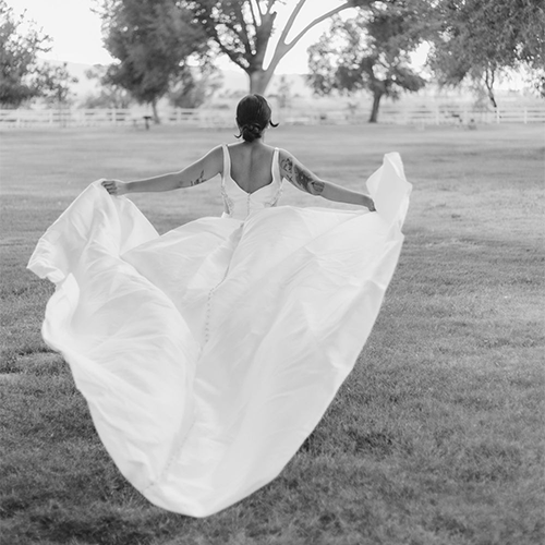 Ivy Rose Photography