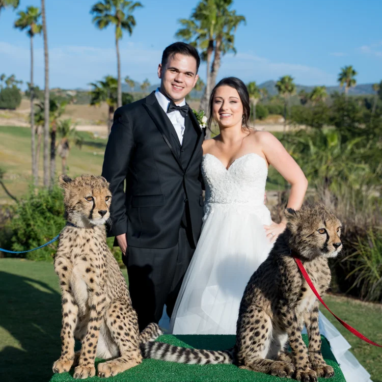 San Diego Zoo Wildlife Alliance